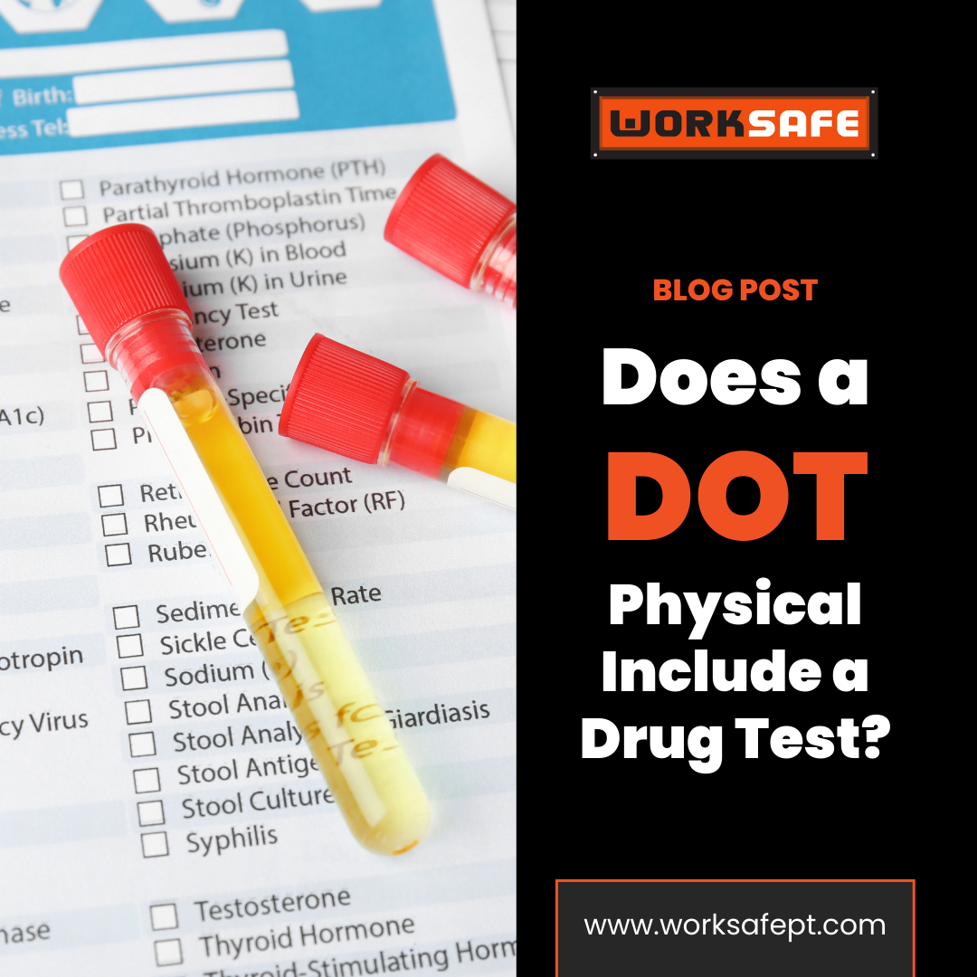 does a dot physical include a drug test